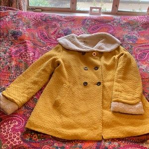 Adorable yellow jacket 🐝